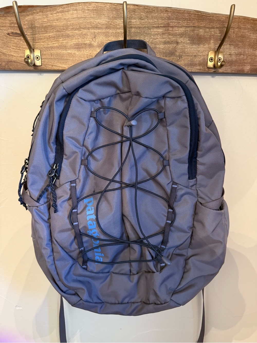 Patagonia Gray/Lavender Everyday Backpack